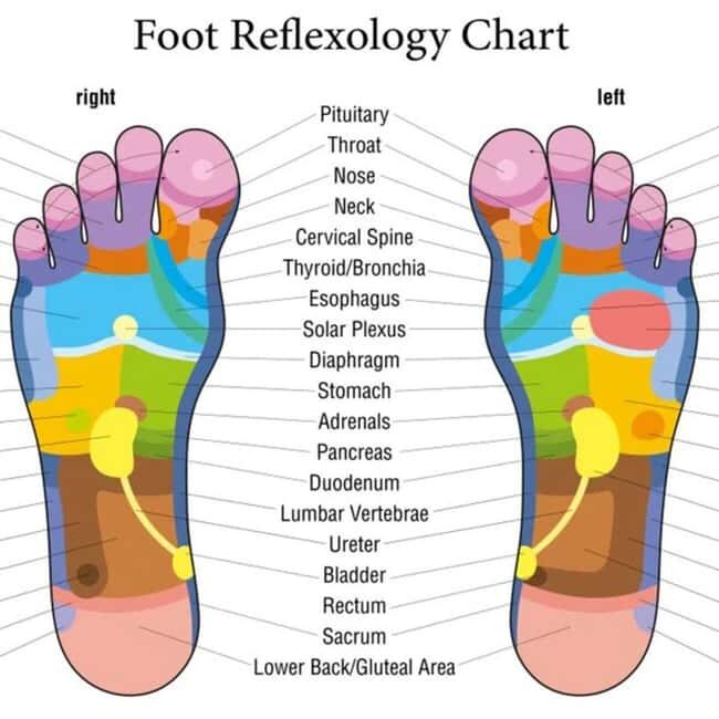 Puerto Vallarta: Foot Reflexology and Tired Legs Massage - A Close Look at the Experience