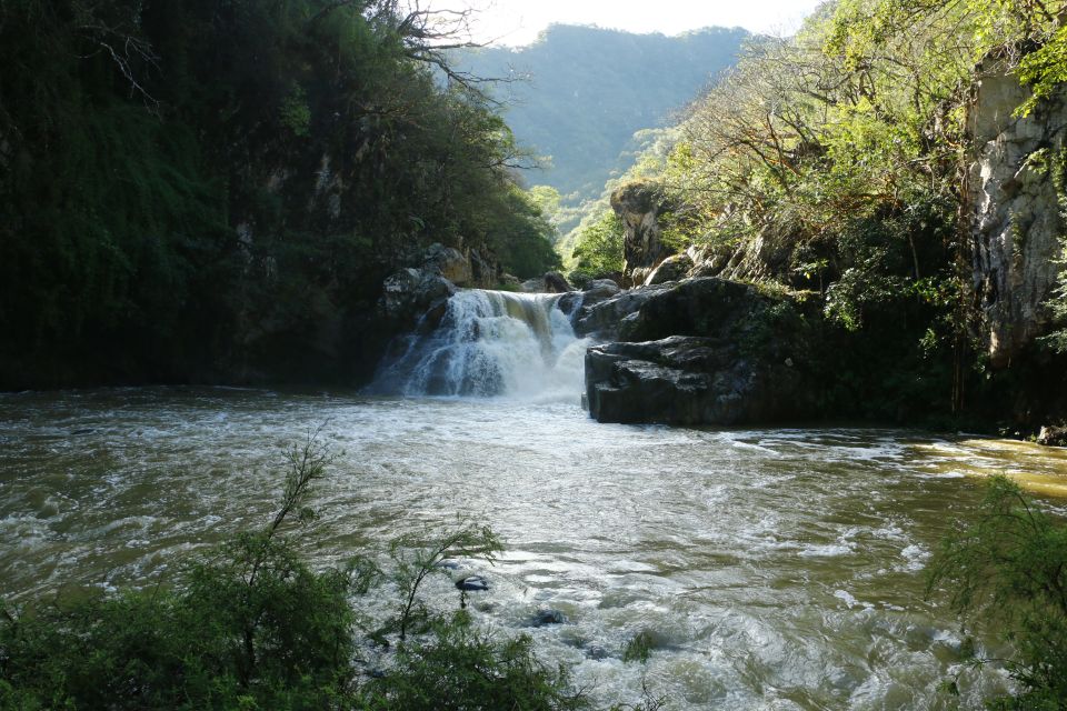 Puerto Vallarta: Guided RZR Tour With Tequila Tasting - Suitability and Restrictions