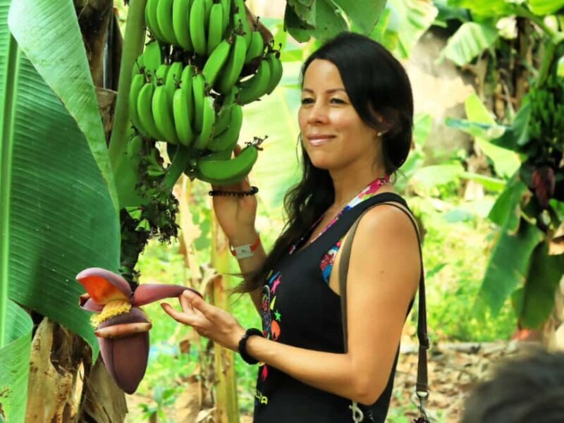 Puerto Vallarta: Hands-on Farm Experience from Cow to Cheese - Key Points