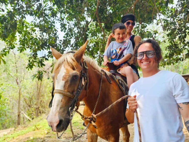 Puerto Vallarta: Hands-on Farm Experience from Cow to Cheese - A Genuine Look at the Puerto Vallarta Farm Tour