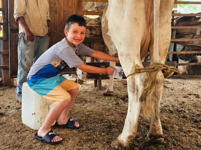 Puerto Vallarta: Hands-on Farm Experience from Cow to Cheese - Authentic Experiences in Puerto Vallartas Countryside