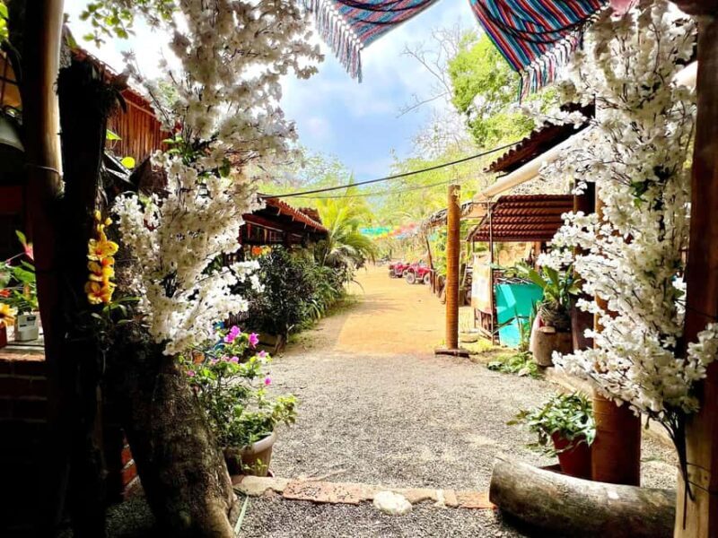 Puerto Vallarta: Hands-on Farm Experience from Cow to Cheese - The Sum Up