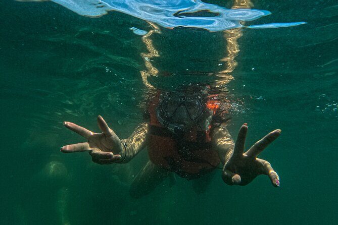 Puerto Vallarta : Hidden Beaches & Adventure Park - Final Thoughts