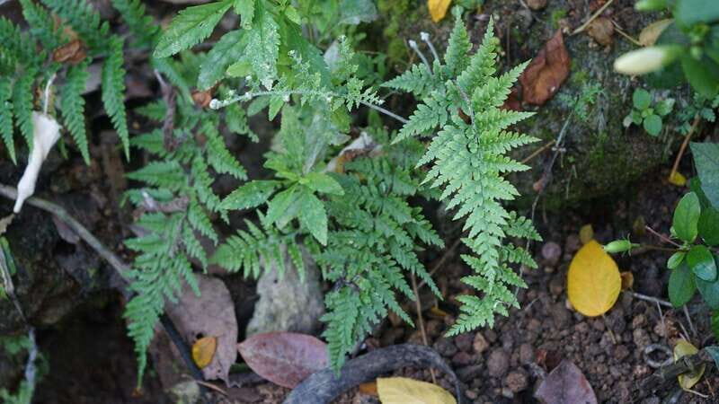 Puerto Vallarta: Hidden Beaches and Sea Adventures - An In-Depth Look at Puerto Vallarta’s Hidden Beaches and Sea Adventures