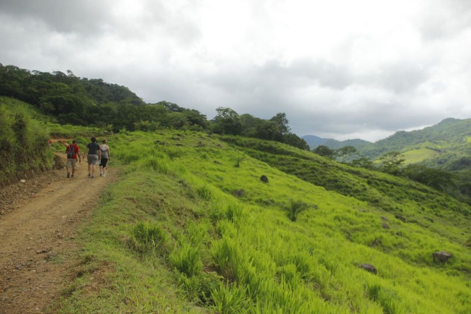 Puerto Vallarta: Hiking Jorullo Point Guided Tour - Tour Details