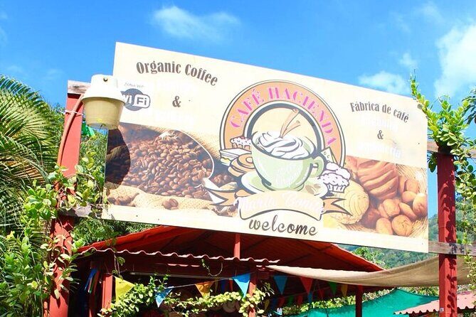 Puerto Vallarta History and Culture with Flavors Discovery - The Sum Up