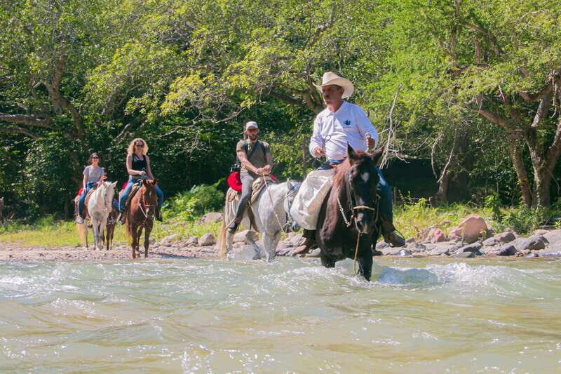 Puerto Vallarta: Horseback Ride to Mountain Waterfalls - An Overview of the Experience