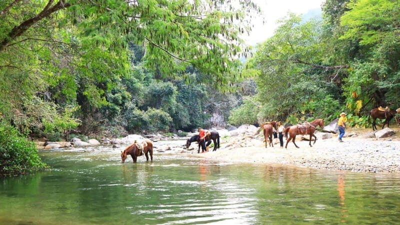 Puerto Vallarta: Horseback Riding Adventure at Canopy River - Who Will Love This Experience?