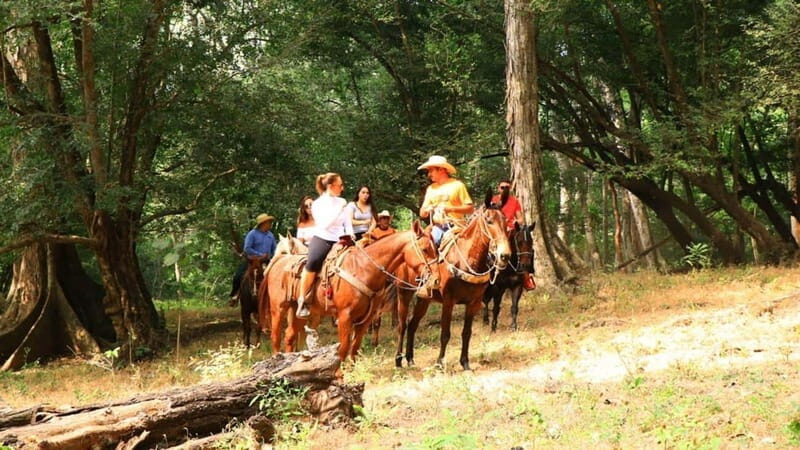 Puerto Vallarta: Horseback Riding Adventure at Canopy River - FAQ