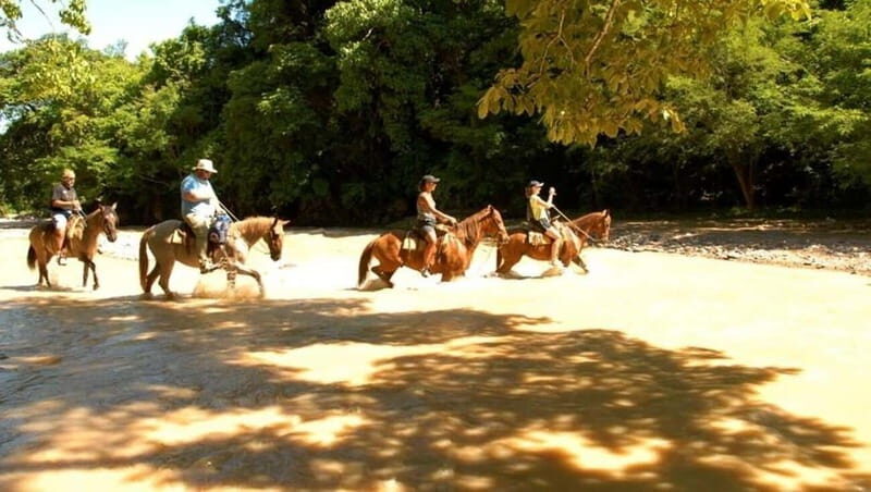 Puerto Vallarta: Horseback Riding at Hacienda Doña Engracia - What to Expect from Your Horseback Adventure