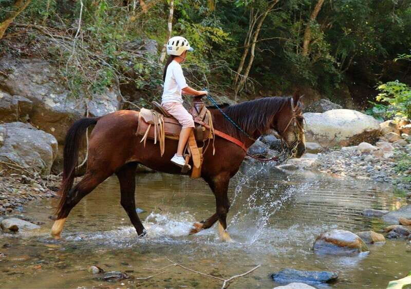 Puerto Vallarta: Horseback Riding + Jorullo Bridge Pass - Key Points