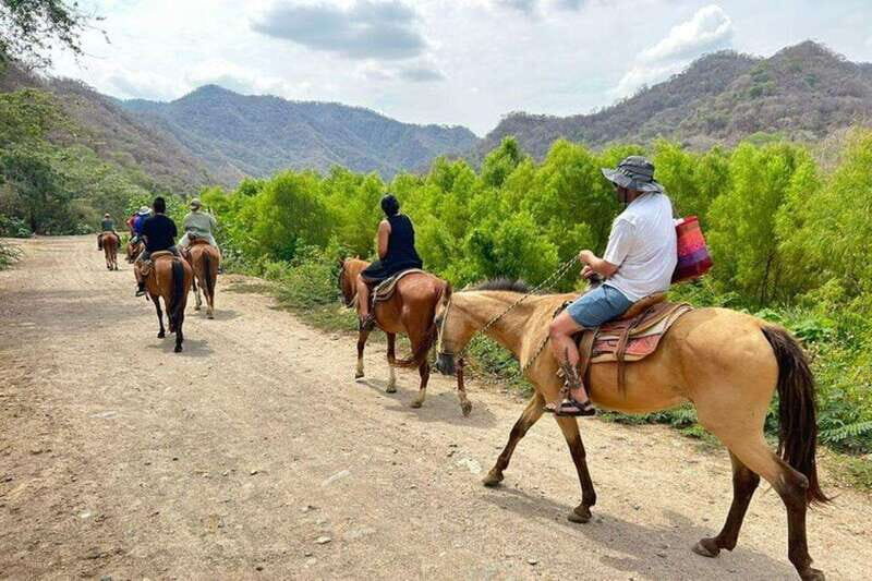 Puerto Vallarta: Horseback Riding, Lunch & Unlimited Drinks - Who Will Love This Tour?