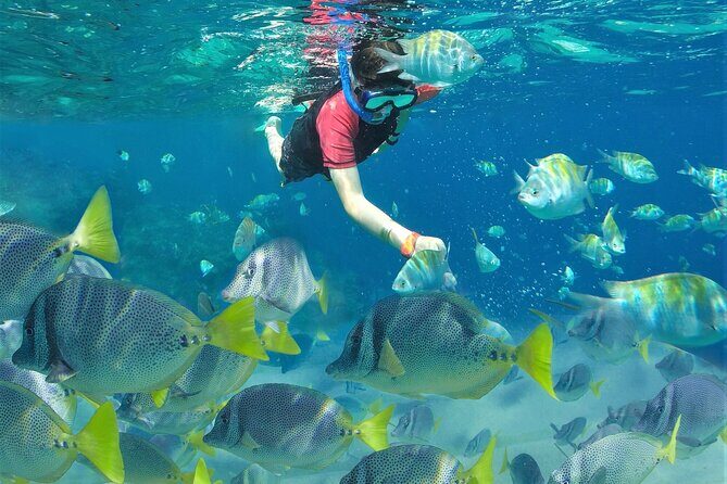 Puerto Vallarta Islas Marietas Eco Discovery - Final Thoughts: Is It a Fit for Your Puerto Vallarta Trip?