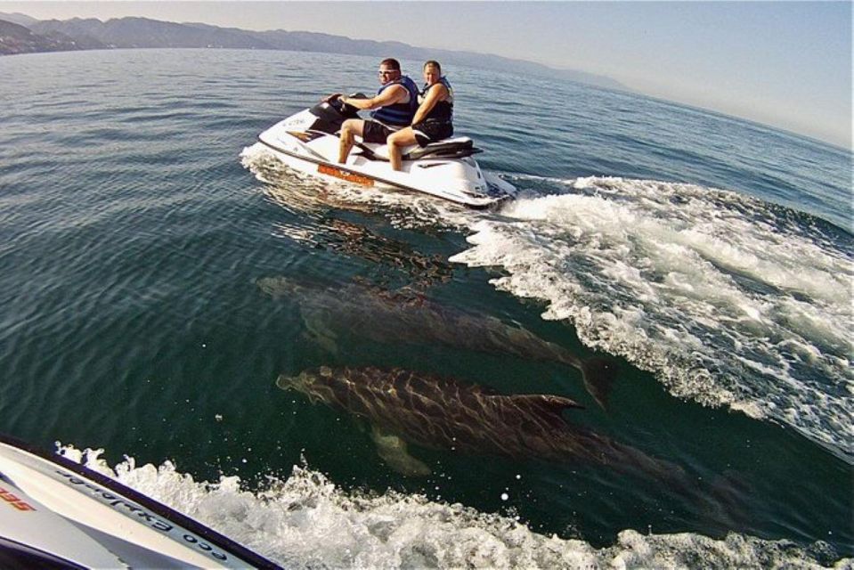 Puerto Vallarta: Jet Ski Safari - Key Points