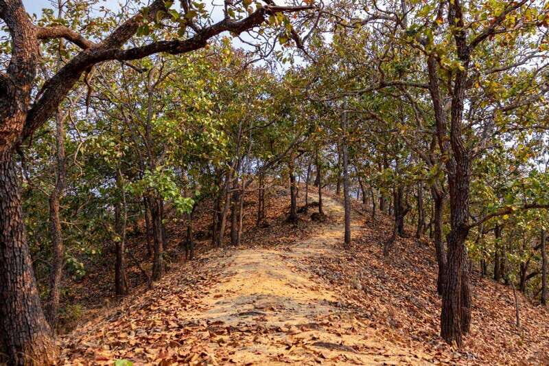 Puerto Vallarta: Jorullo Paradise Hiking Adventure - A Closer Look at the Tour Itinerary