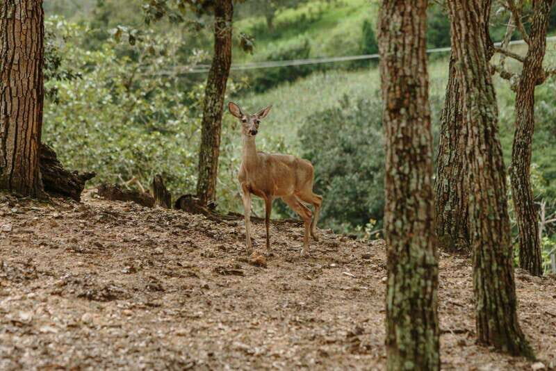 Puerto Vallarta: Jorullo Paradise Hiking Adventure - Who Would Enjoy This Tour?