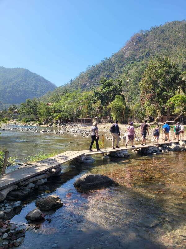 Puerto Vallarta: jungle and coastline hike along 6 beaches - An In-Depth Look at the Coastal and Jungle Hike Experience