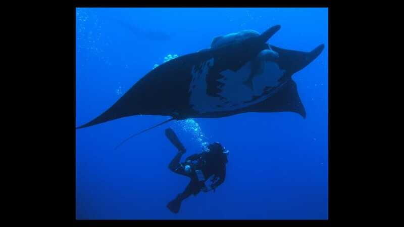 Puerto Vallarta: La Corbeñeta Underwater Exploration - The Gear and Guide: Confidence and Safety First