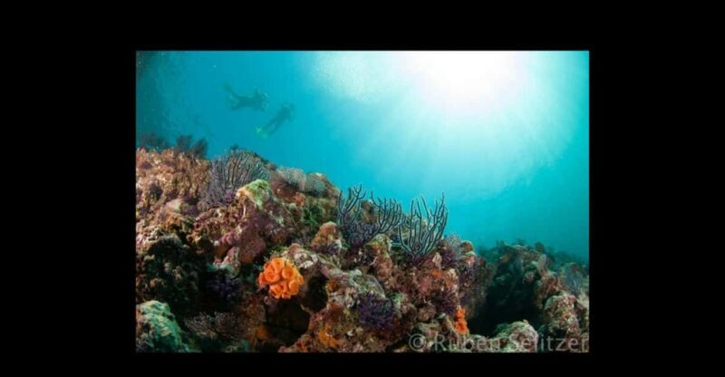 Puerto Vallarta: La Corbeñeta Underwater Exploration - Is It Worth the Price?