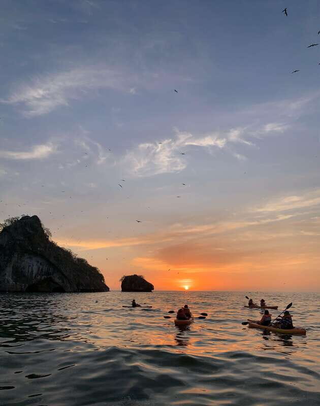 Puerto Vallarta: Los Arcos Marine Park Kayak/SUP Tour - Who Will Love This Tour?