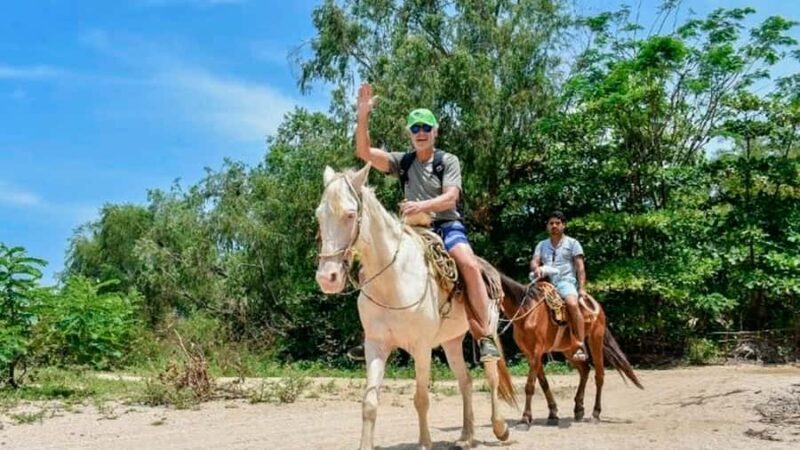 Puerto Vallarta: Los Arcos Snorkeling & Las Animas Cruise - Key Points