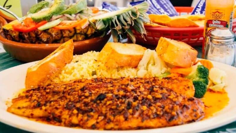 Puerto Vallarta: Los Arcos Snorkeling & Las Animas Cruise - Practical Tips & Considerations