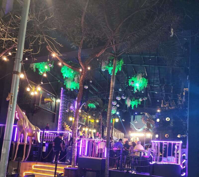 Puerto Vallarta: Malecon and Romantic Zone Nightlife Tour - An In-Depth Look at the Puerto Vallarta Nightlife Tour