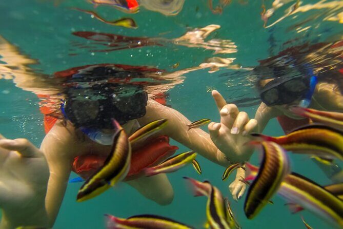 Puerto Vallarta: Marietas Islands with Open Bar and Food - The Sum Up: Who Will Love This Tour?