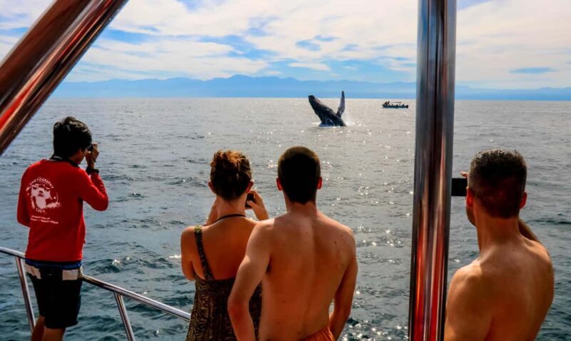 Puerto Vallarta: Mega Yacht Whale Watching Sunset Cruise - An In-Depth Look at the Puerto Vallarta Mega Yacht Sunset Cruise
