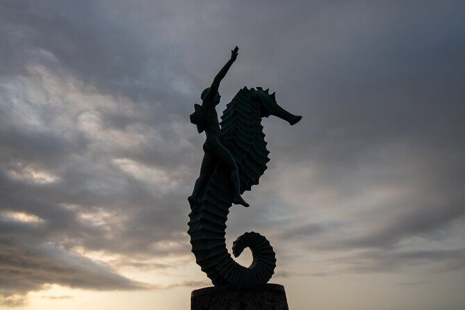 Puerto Vallarta Night Lights Private Tour - Key Points