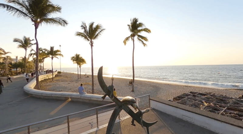 Puerto Vallarta: Parasailing Experience - The Price and Its Value