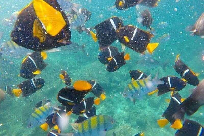 Puerto Vallarta: Pirate Ship Adventure - The Sum Up: Is the Puerto Vallarta Pirate Ship Adventure Worth It?