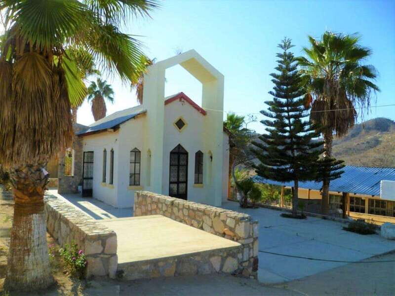 Puerto Vallarta: Predator Zipline & Jungle Adventure - Practical Details and Value