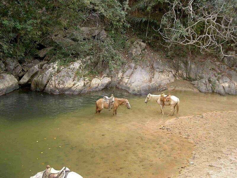 Puerto Vallarta: Private Tour Hiking Quimixto Waterfall - What’s Included and Why It Matters