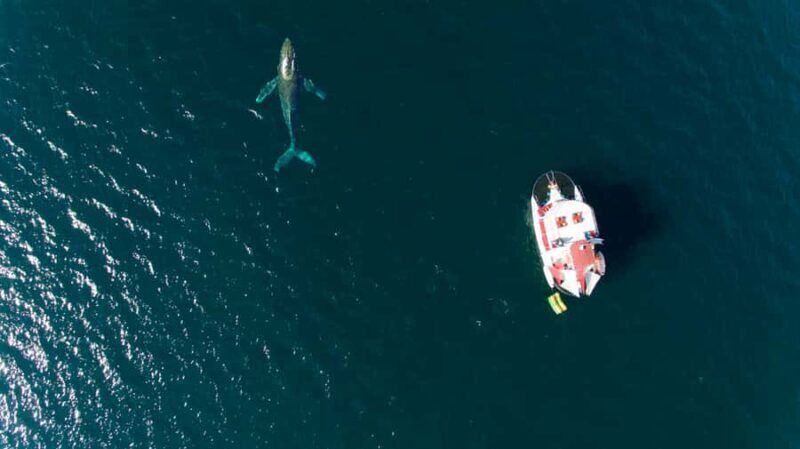 Puerto Vallarta: Private Yacht Charter Waterslides - What to Expect Onboard