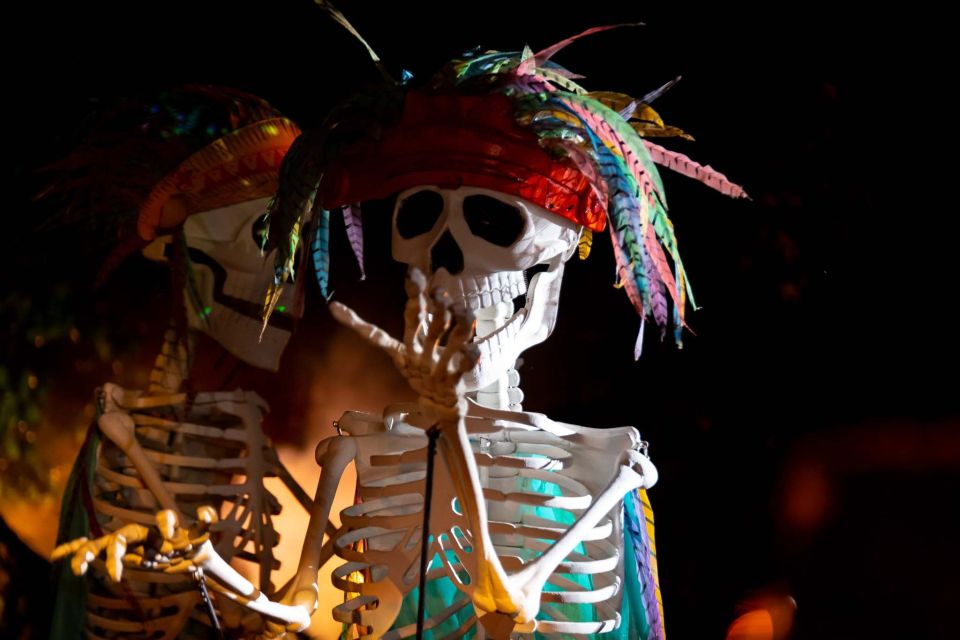 Puerto Vallarta: Rhythms of the Night Cruise & Dinner Show - Key Points