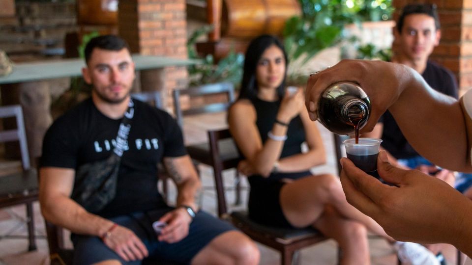 Puerto Vallarta: River Expedition and Guided Adventure Tour - Key Points