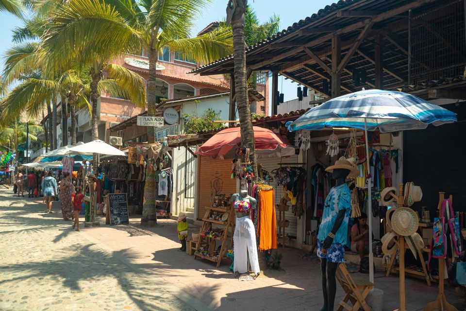 Puerto Vallarta: Sayulita and San Pancho Beaches Tour - What to Bring
