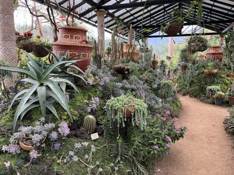 Puerto Vallarta: Sayulita & San Pancho Private Day Tour - An In-Depth Look at the Tour Experience