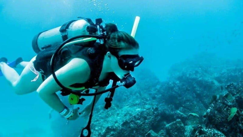 Puerto Vallarta: Scuba Dive at Los Arcos - The Guide and Group Experience