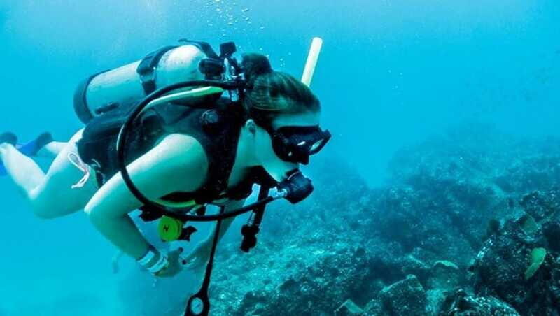 Puerto Vallarta: Scuba Dive at Los Arcos - The Logistics: What Makes It Smooth and Enjoyable
