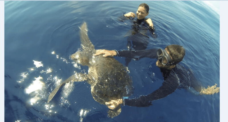 Puerto Vallarta: Scuba Diving en el Morro - Key Points