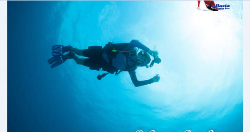 Puerto Vallarta: Scuba Diving en el Morro - An Honest Look at the Experience