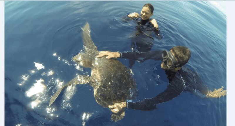 Puerto Vallarta: Scuba Diving en el Morro - Who Should Consider This Tour?