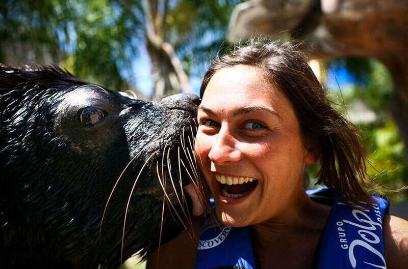 Puerto Vallarta: Sea Lion Discovery at Aquaventuras Park - An Honest Look at the Sea Lion Discovery Tour