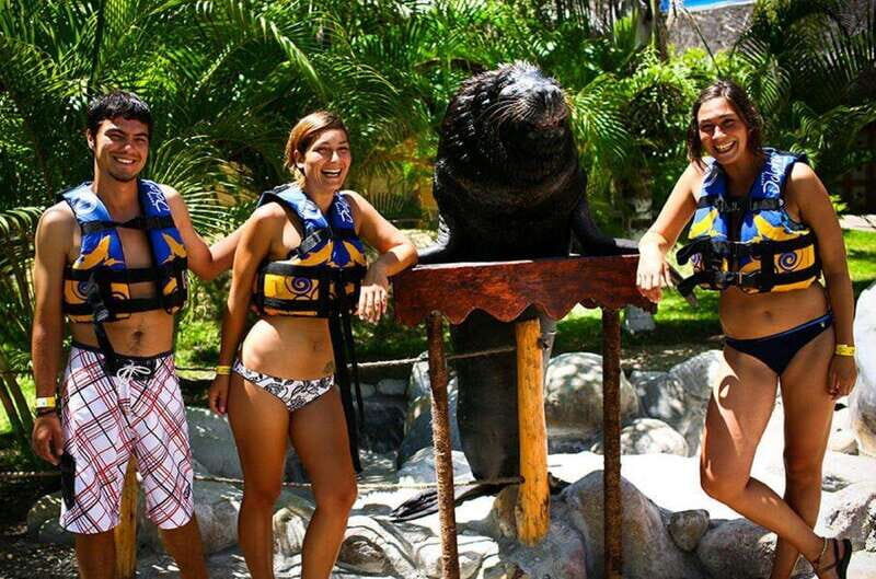 Puerto Vallarta: Sea Lion Discovery at Aquaventuras Park - The Bottom Line: Is It Worth It?