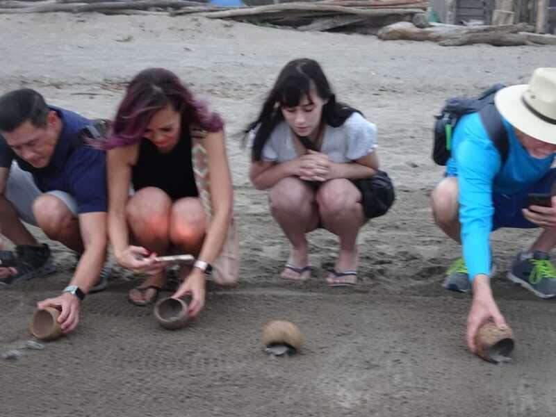 Puerto Vallarta: Sea turtle release at Sunset - FAQ