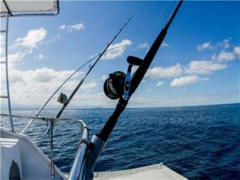 Puerto Vallarta: Shared Fishing - Key Points