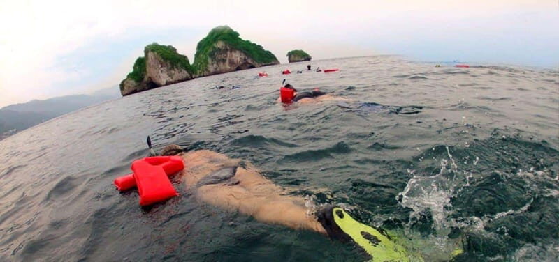 Puerto Vallarta: Snorkel Adventure at Los Arcos - Key Points