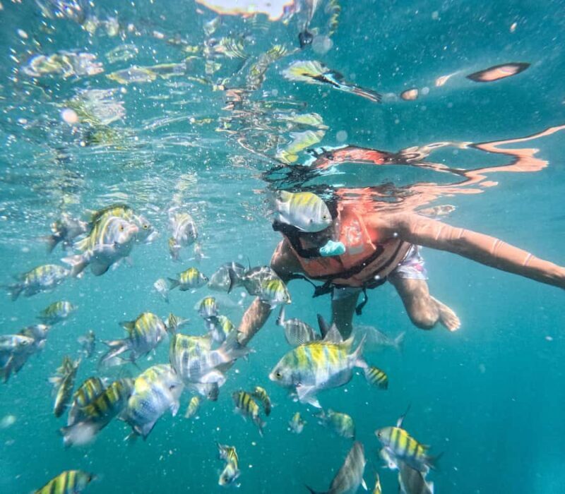 Puerto Vallarta: Snorkel With Tropical Fishes & Canopy Tour - FAQ